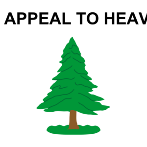 The Pine Tree Flag 3x5 Titus Residential Flag "An Appeal to Heaven" - Handmade in USA